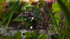 s_4.webp