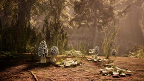 s_1.webp
