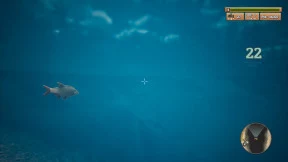 s_8.webp