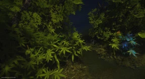 s_1.webp