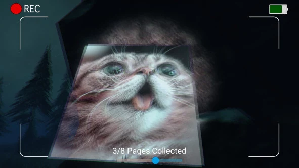 b_7.webp