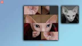 s_4.webp