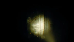 s_5.webp