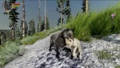s_8.webp