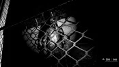 s_2.webp