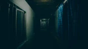 s_8.webp