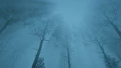 s_7.webp