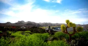 s_2.webp