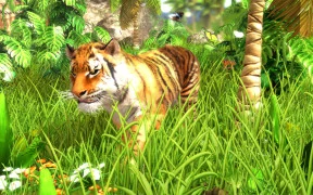 s_3.webp
