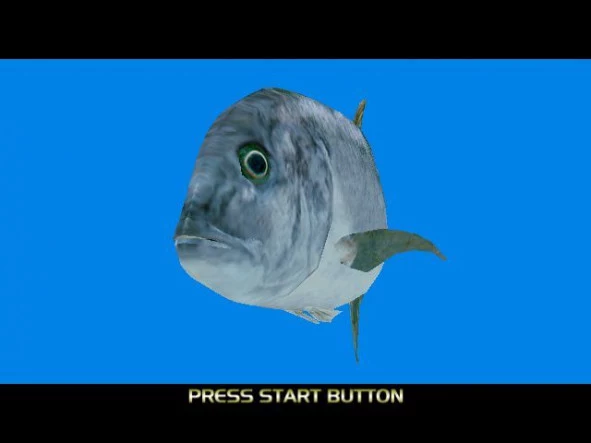 b_1.webp